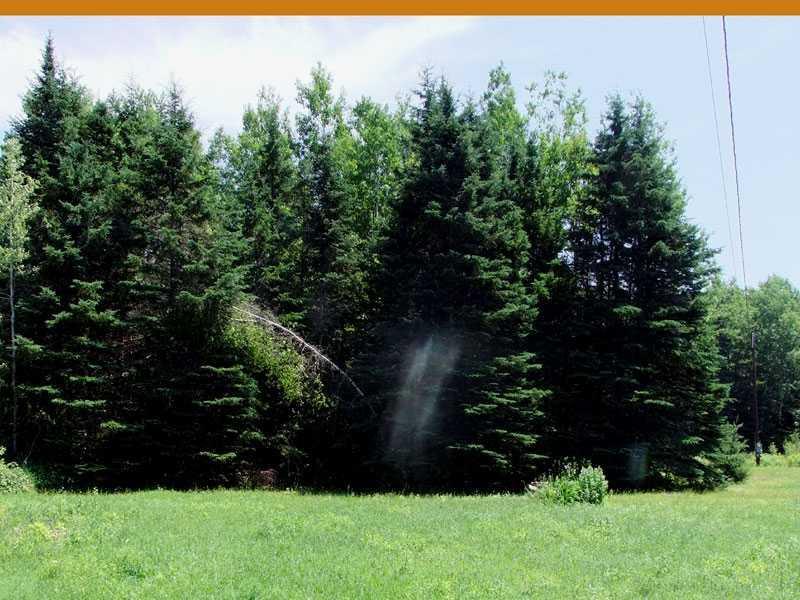 Lot 25 Monument Road Amity, ME 04471 - Photo 5 of 11 Land/Lot.