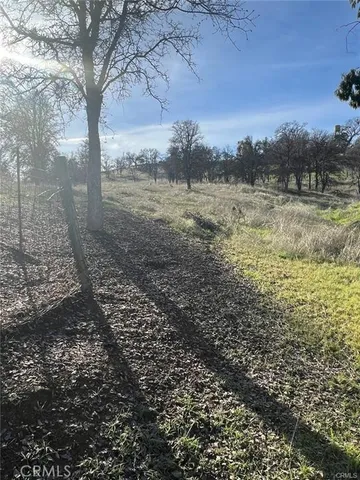 a view of a yard with a tree