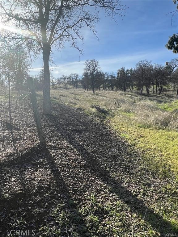 2627 River View Road Clearlake Oaks, CA 95423 - Photo 3 of 6 a view of a yard with a tree