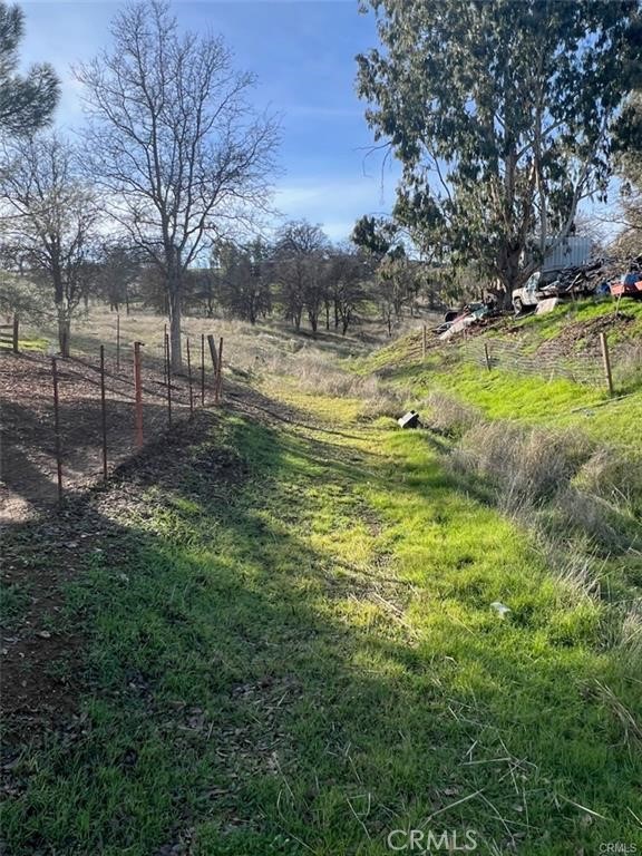 2627 River View Road Clearlake Oaks, CA 95423 - Photo 4 of 6 a view of a yard with a tree