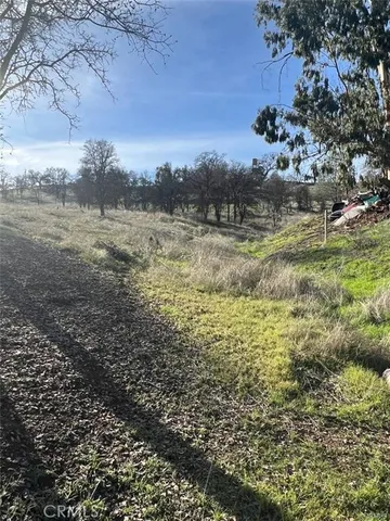 a view of a lake from a yard