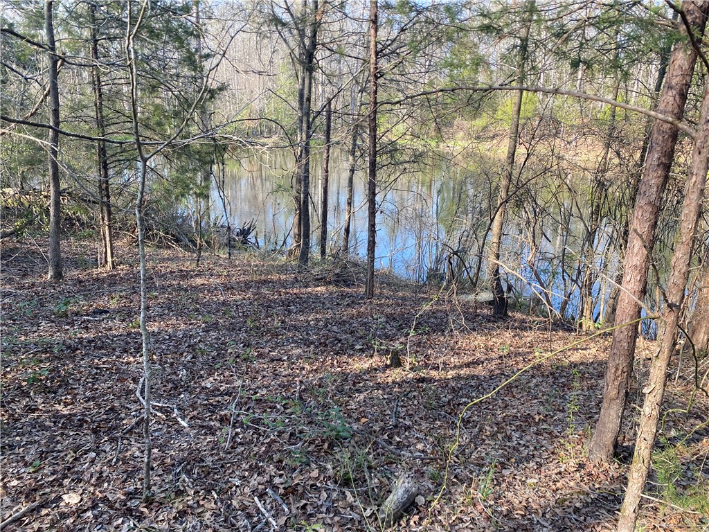 0 Abercrombie Road Honea Path, SC 29654 - Photo 13 of 18 This tranquil waterfront property offers serene views and a natural landscape for peaceful living.