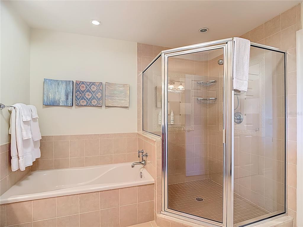 1116 Sunset View Circle, Unit 304 Reunion, FL 34747 - Photo 20 of 37 a bathroom with a bathtub and a shower