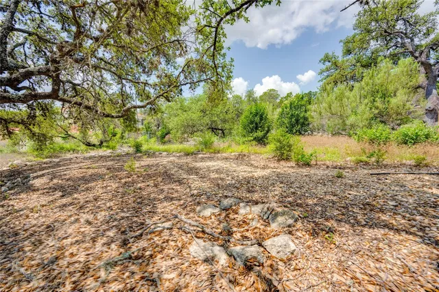 a view of a yard with a tree