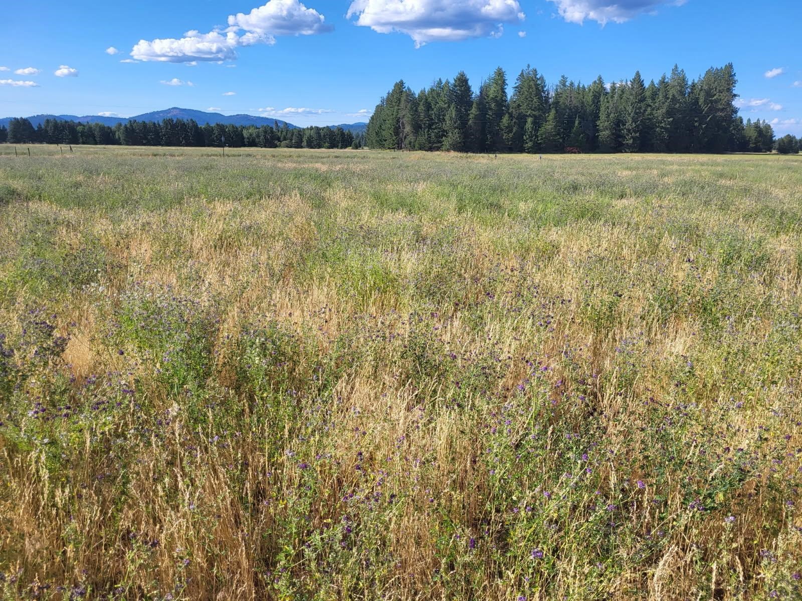Xx North Short Road Deer Park, WA 99006 - Photo 1 of 4 Gallery Image 1