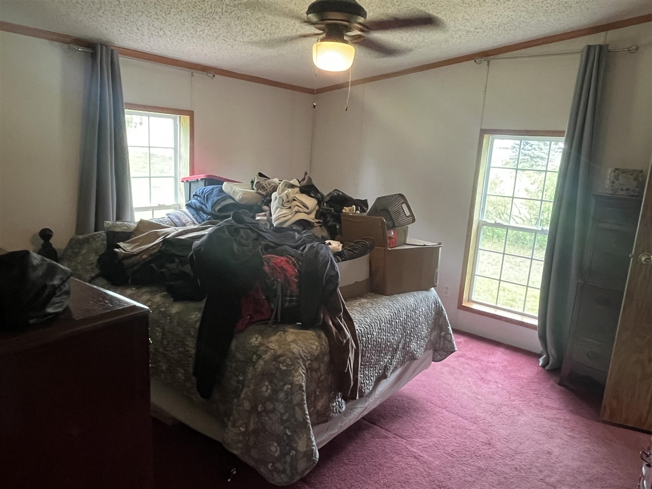 1172 Greenville Road Northwest Stanton, MI 48888 - Photo 20 of 28