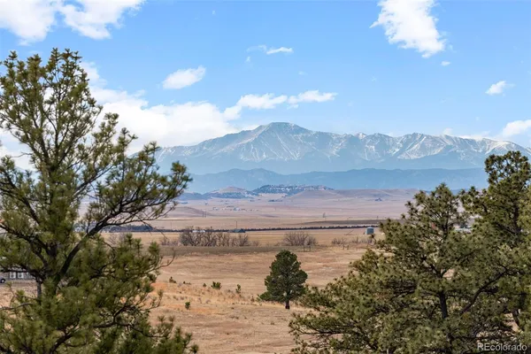 a view of a yard with an ocean