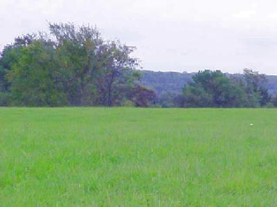 0 Stringtown Road Seymour, MO 65746 - Photo 1 of 1 Primary Photo