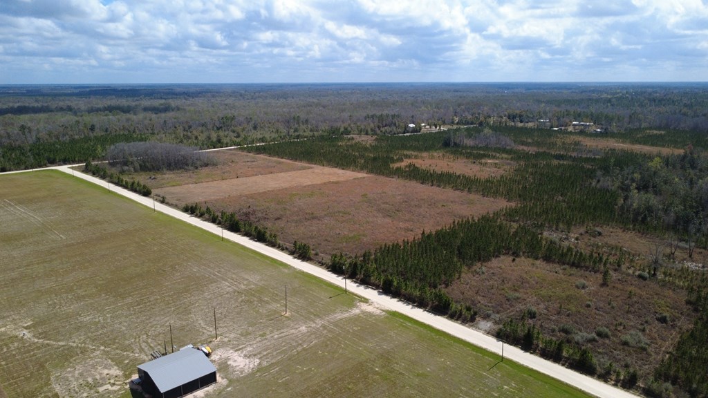 40 Davis Peacock Road Wewahitchka, FL 32449 - Photo 20 of 22