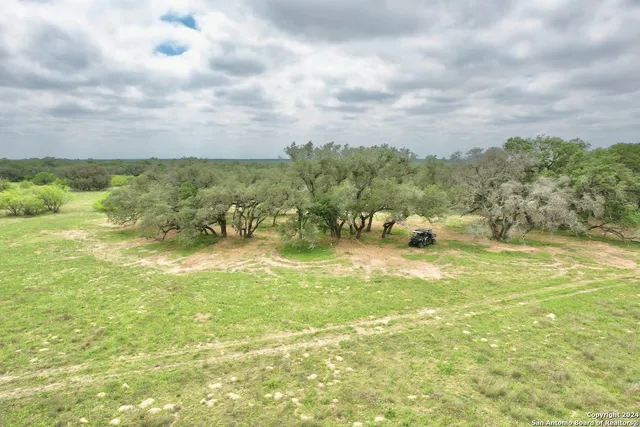 a view of a yard with an trees