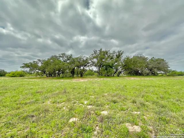 a backyard of a house with lots of green space and garden