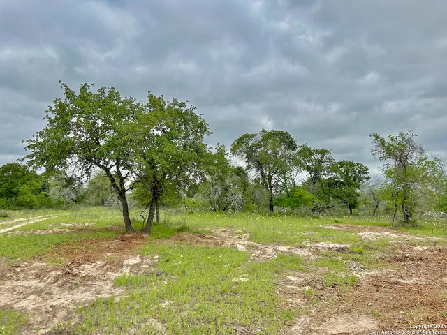 a big yard with lots of green space and trees