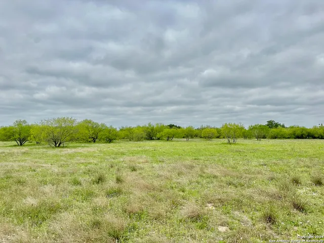 a view of yard with green space