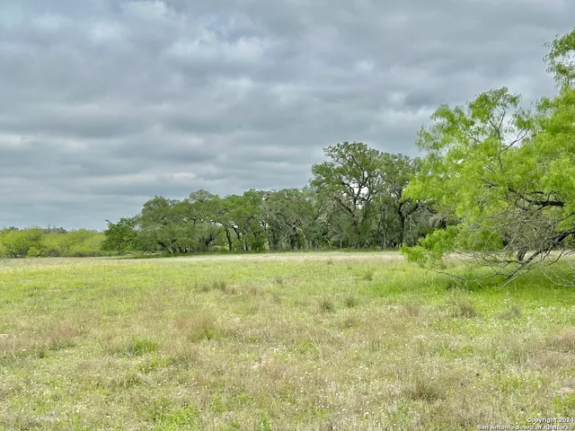 a view of a lake with a yard