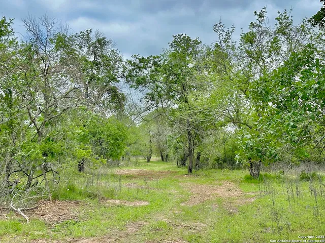 a view of yard with green space