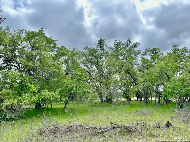 a view of outdoor space with trees all around
