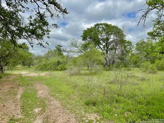 a view of a field with an ocean