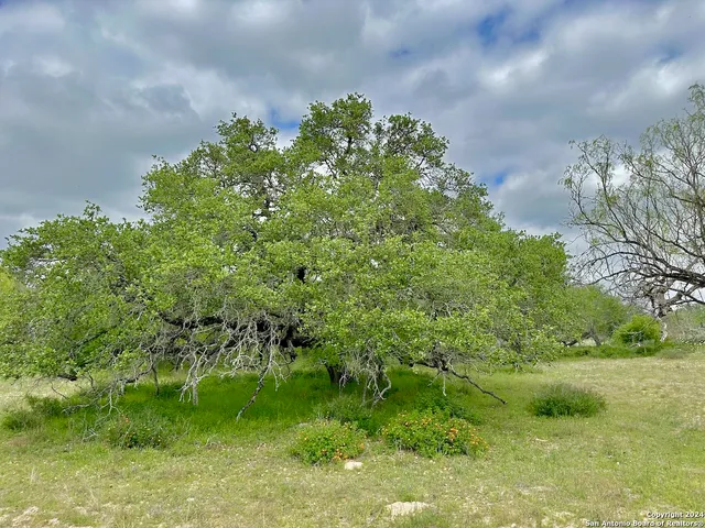 $1,493,700 | 770 Natalia Tx 78059, Devine, TX 78016