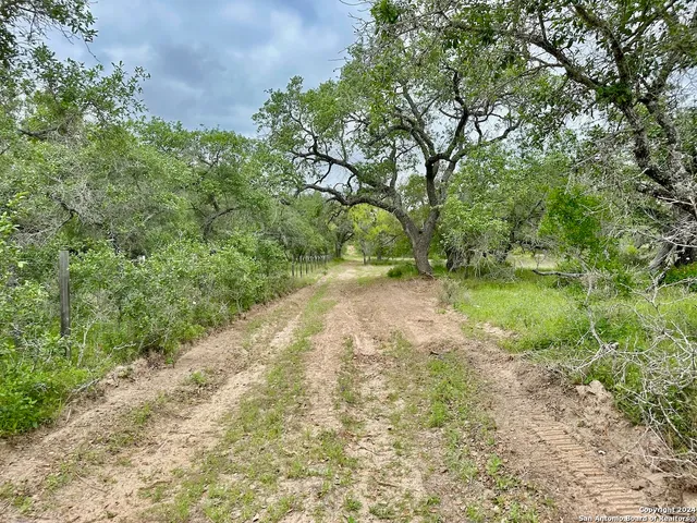 a view of a yard with a tree