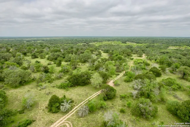 a view of a big yard with lots of green space