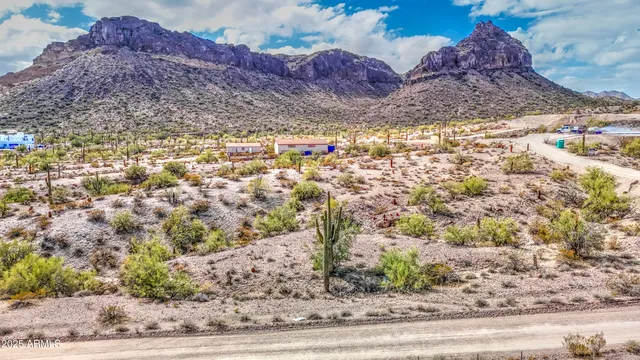 a view of a garden with a pathway