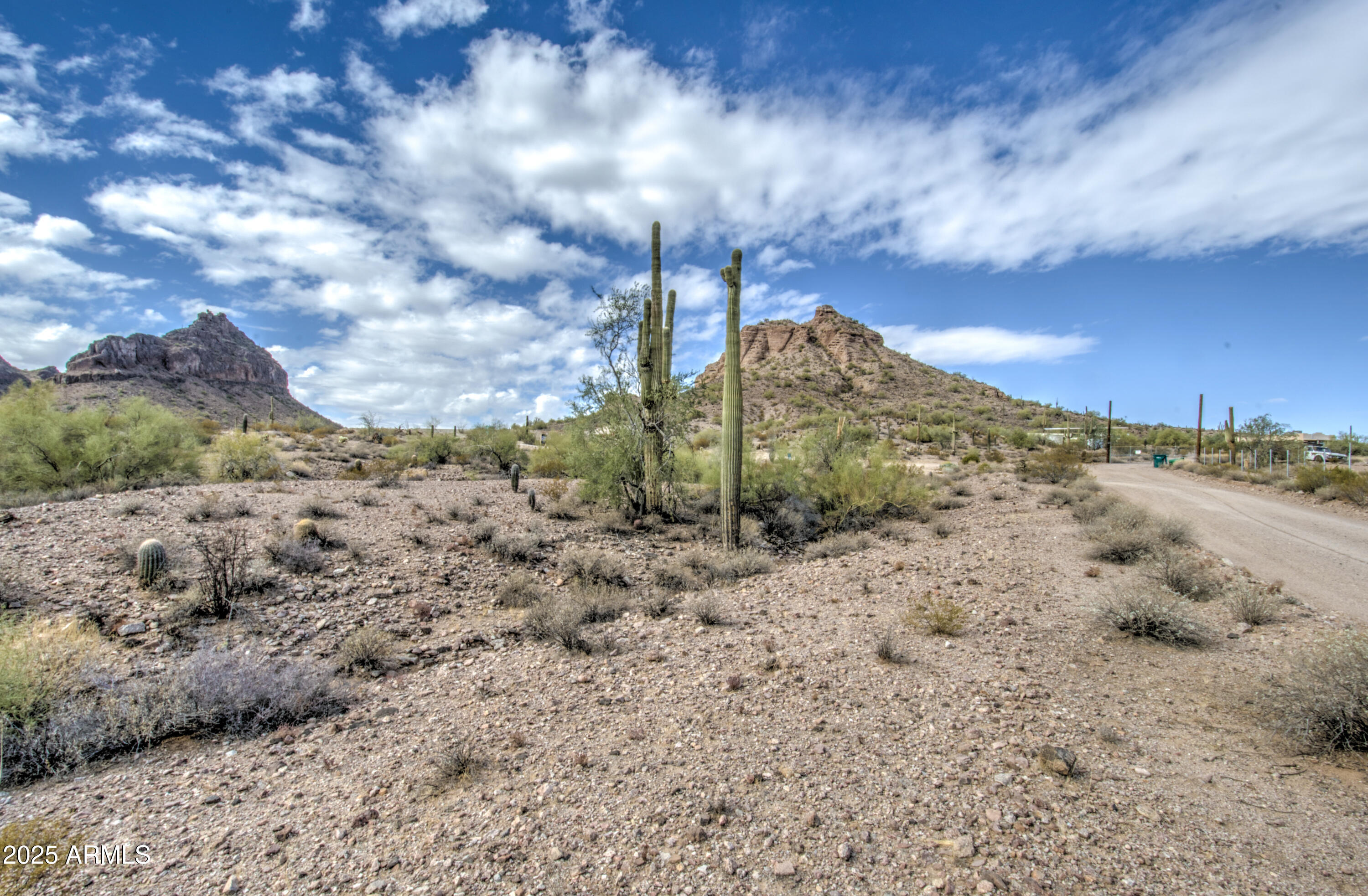 0 North Ellen Road, Unit 7 Queen Creek, AZ 85144 - Photo 4 of 27 a view of a dry yard with lots of trees
