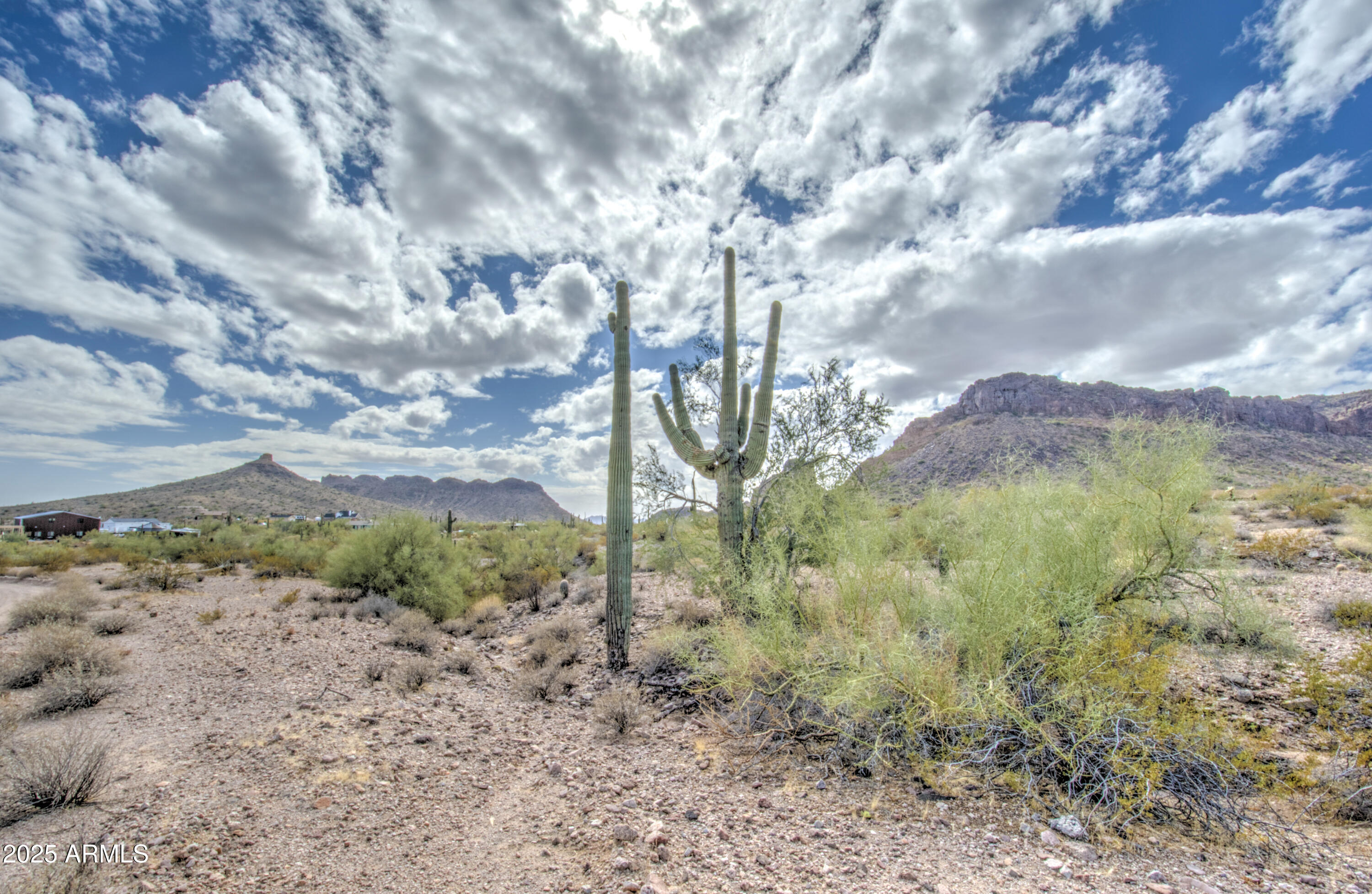 0 North Ellen Road, Unit 7 Queen Creek, AZ 85144 - Photo 5 of 27 a view of a bunch of trees