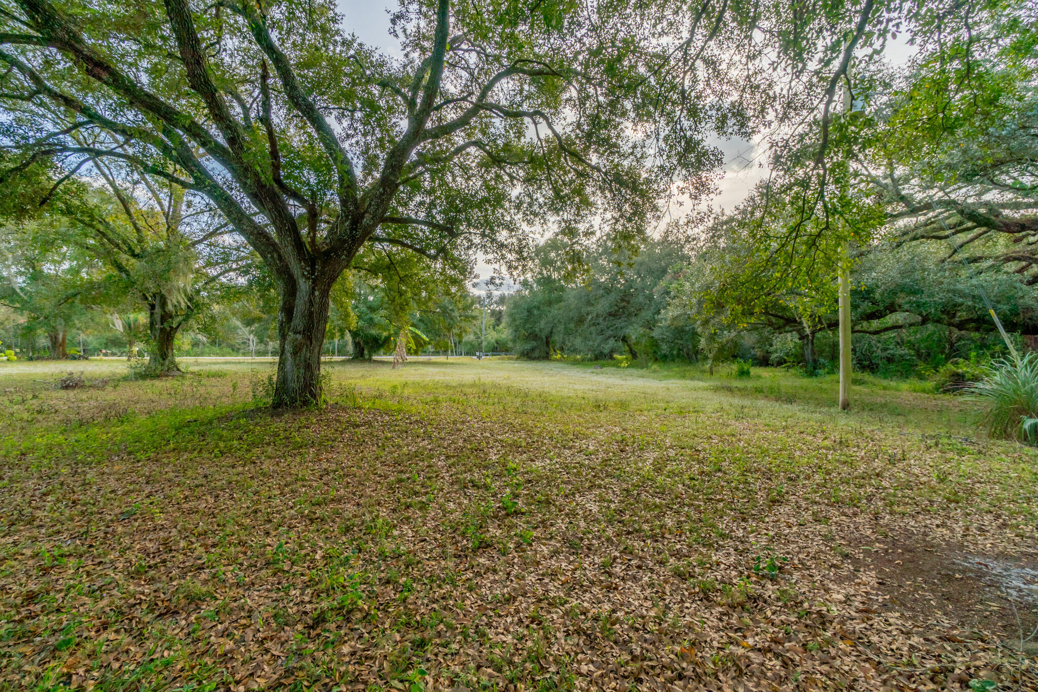 3453 Northwest 160th Street Okeechobee, FL 34972 - Photo 12 of 40 DSC05788-HDR