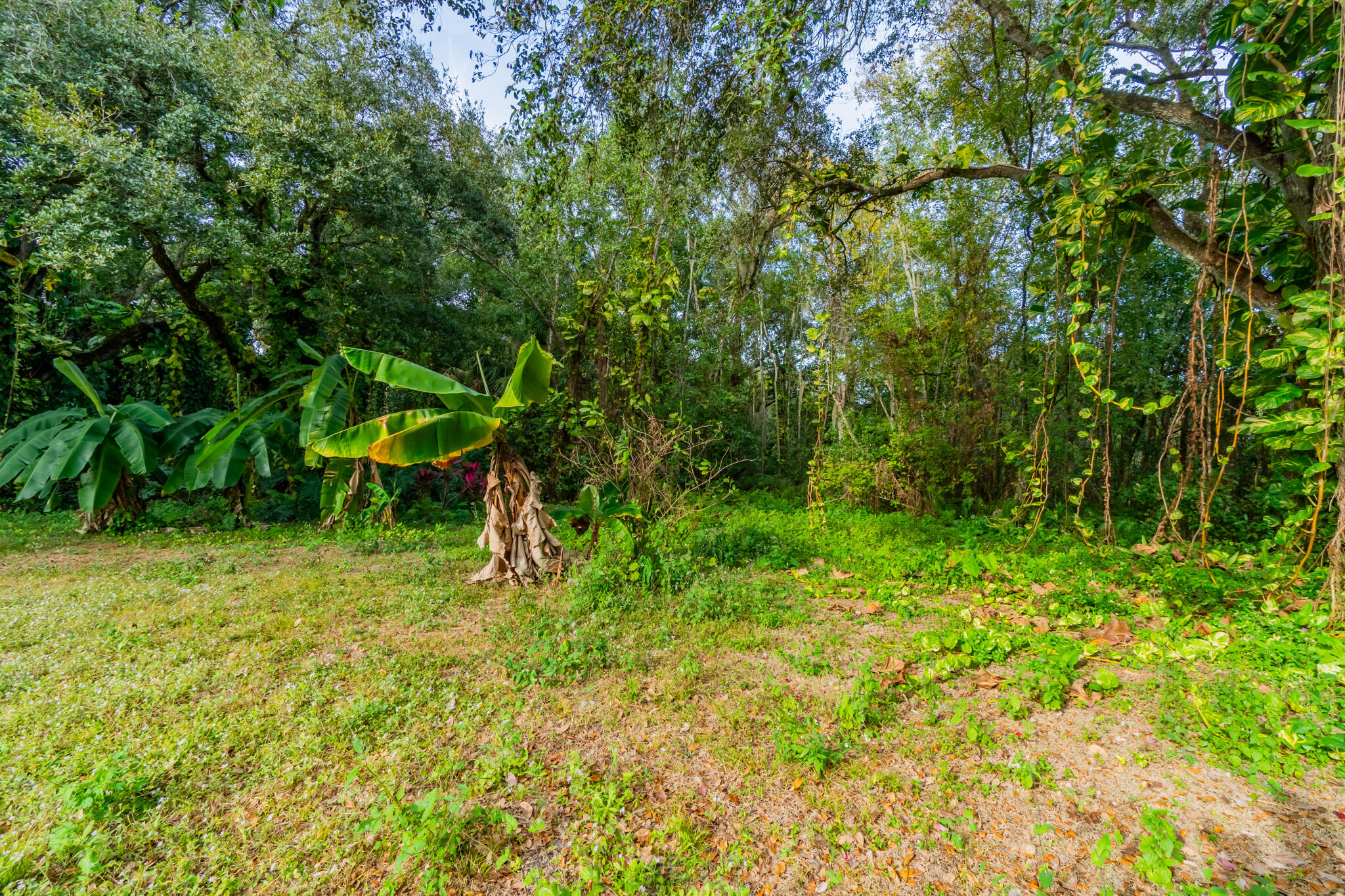 3453 Northwest 160th Street Okeechobee, FL 34972 - Photo 21 of 40 DSC05690-HDR