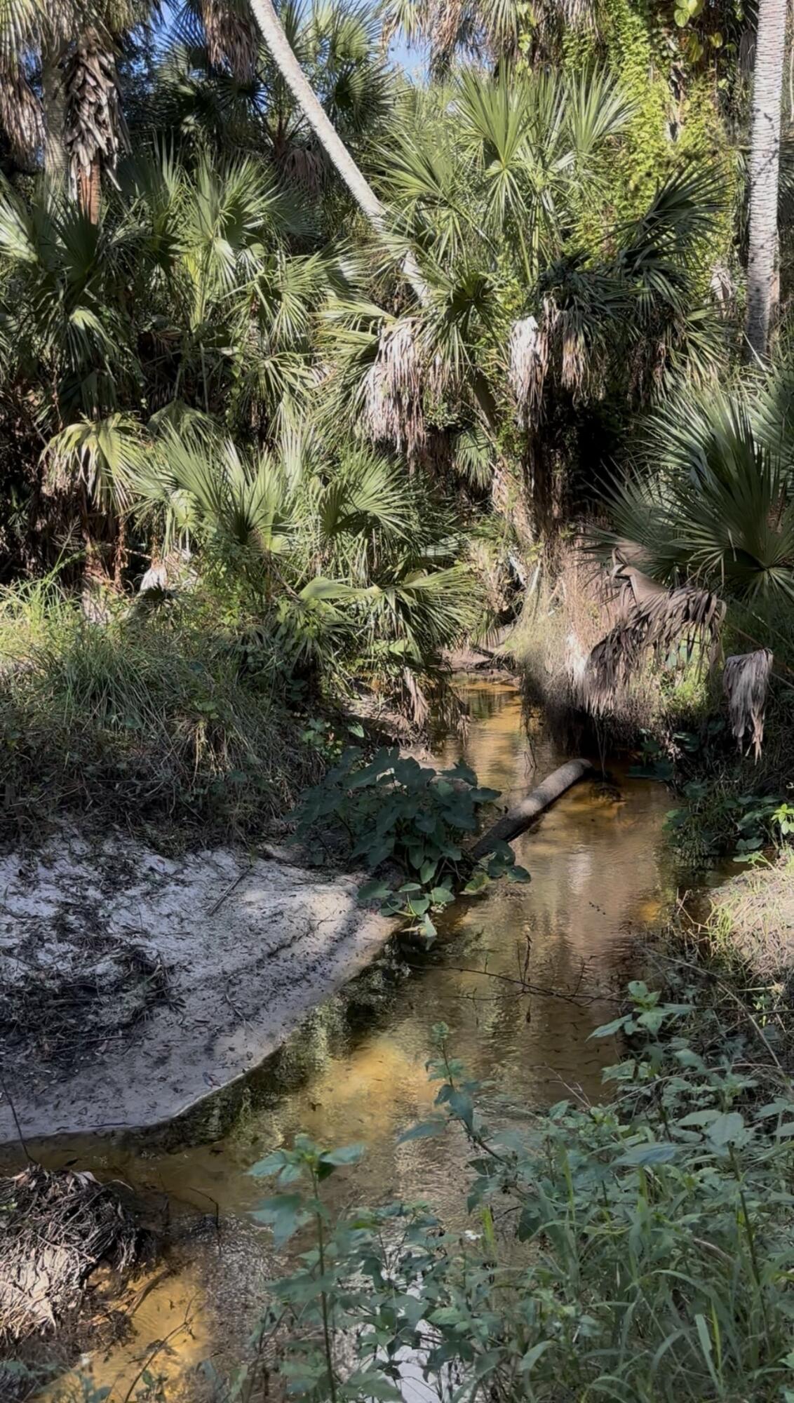 3453 Northwest 160th Street Okeechobee, FL 34972 - Photo 22 of 40 IMG_3283