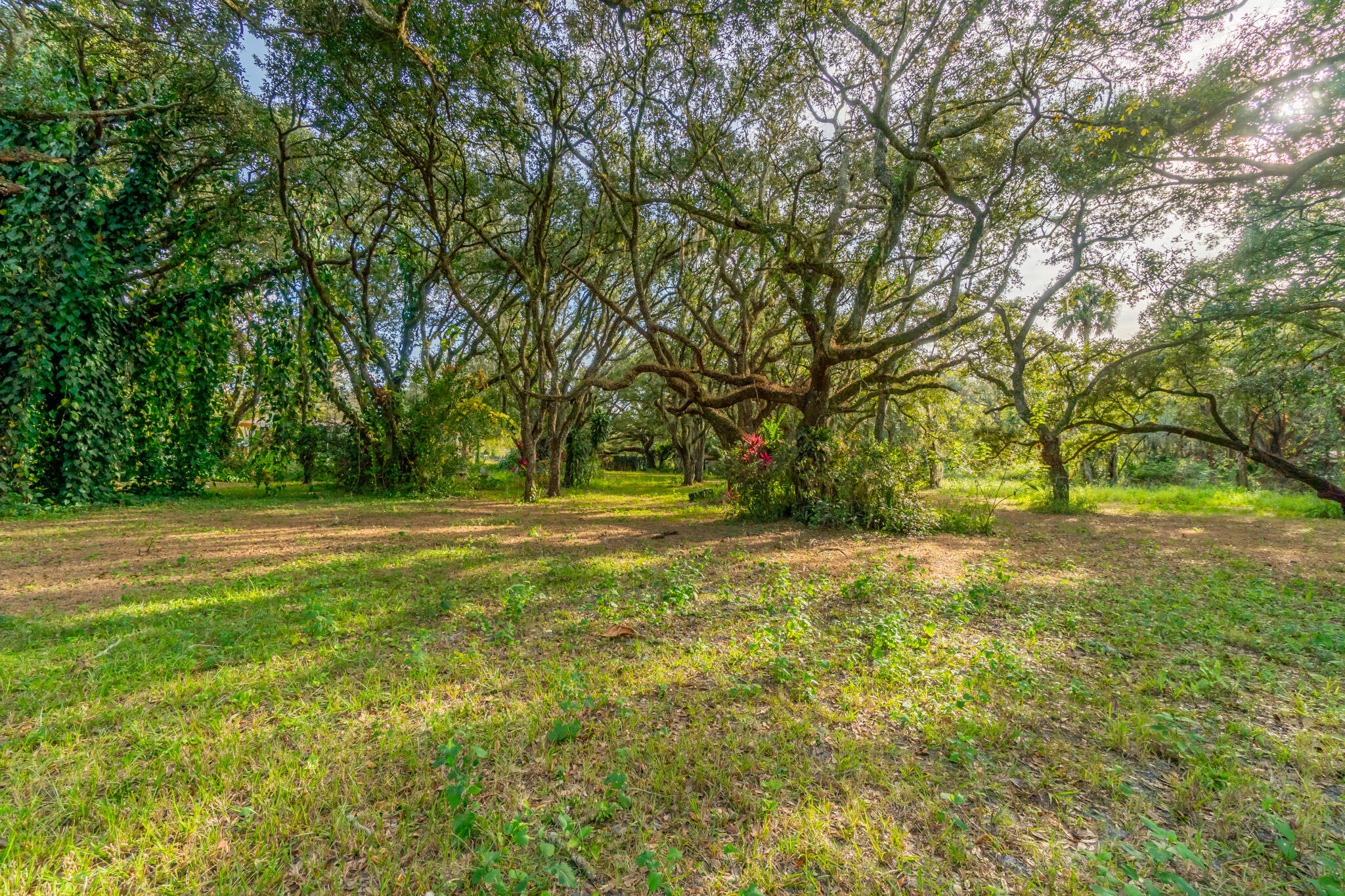 3453 Northwest 160th Street Okeechobee, FL 34972 - Photo 7 of 40 DSC05734-HDR