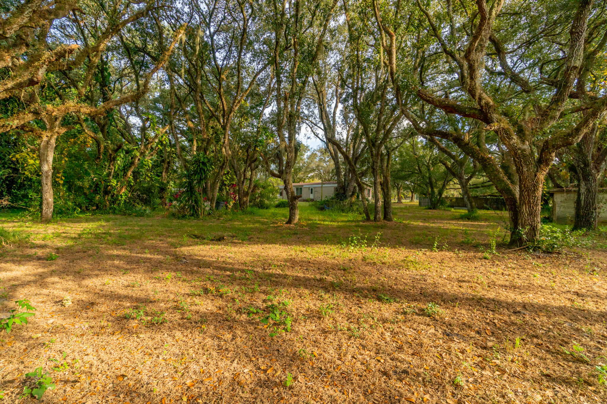 3453 Northwest 160th Street Okeechobee, FL 34972 - Photo 8 of 40 DSC05743-HDR