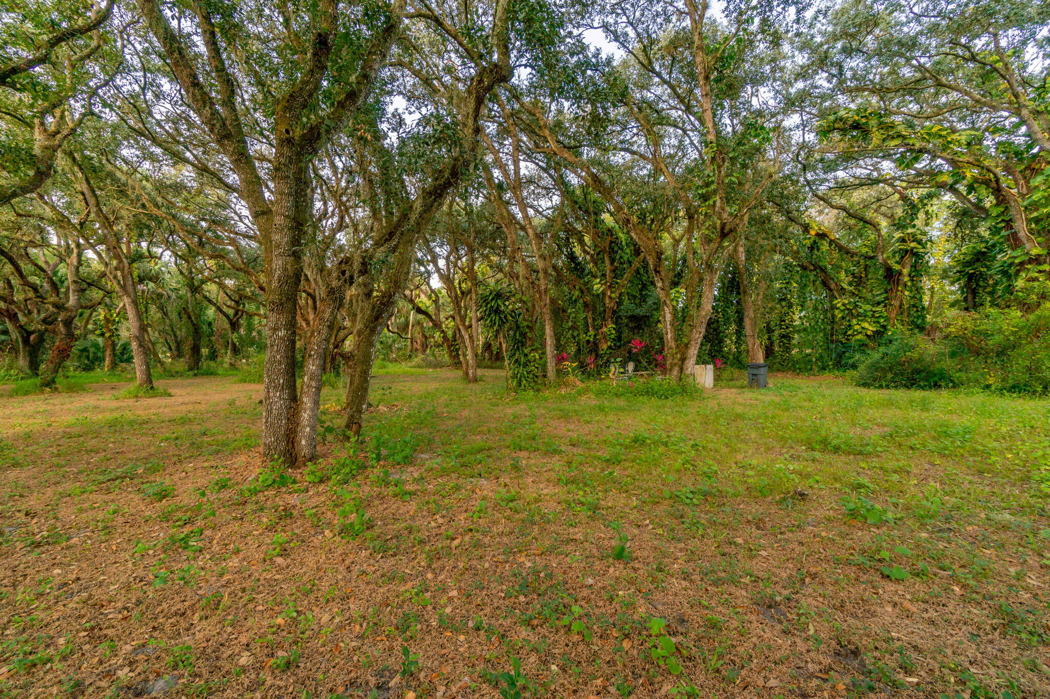 3453 Northwest 160th Street Okeechobee, FL 34972 - Photo 9 of 40 DSC05713-HDR