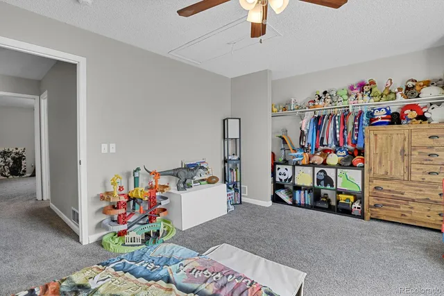 an outdoor space with lots of stuff