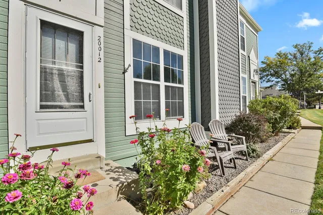 a potted plant sitting in front of a house