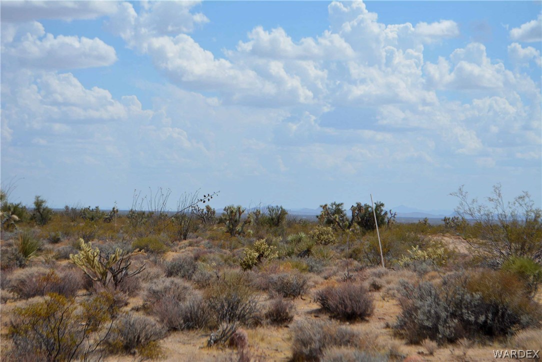 2869 South John Wayne Road Yucca, AZ 86438 - Photo 10 of 28 Gallery Image 10