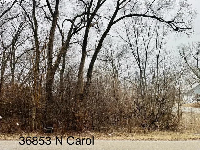 a view of outdoor space with lots of trees
