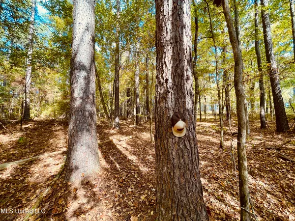 $200,000 | 12 Mississippi, Durant, MS 39063