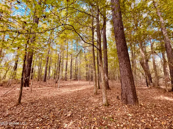 $200,000 | 12 Mississippi, Durant, MS 39063