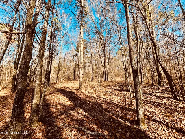 $200,000 | 12 Mississippi, Durant, MS 39063