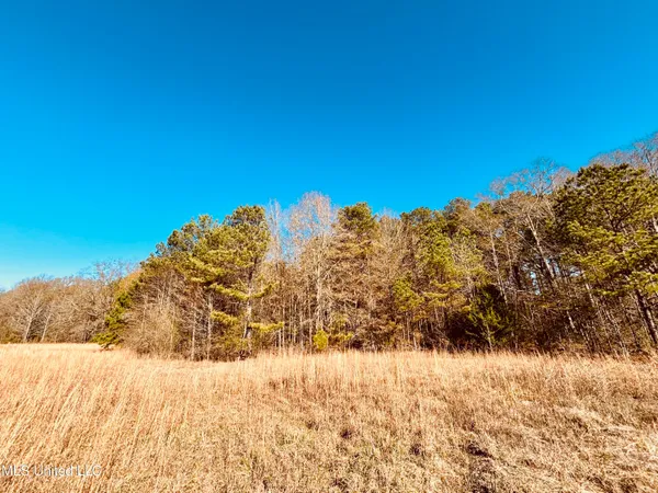 $200,000 | 12 Mississippi, Durant, MS 39063