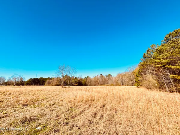 $200,000 | 12 Mississippi, Durant, MS 39063