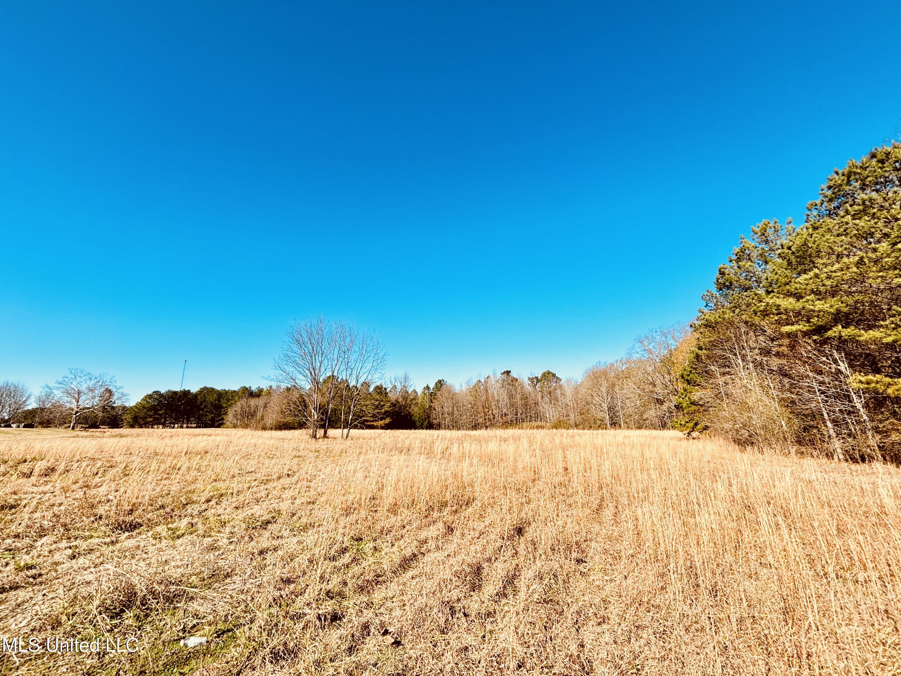 12 Mississippi Durant, MS 39063 - Photo 7 of 13 IMG_0100