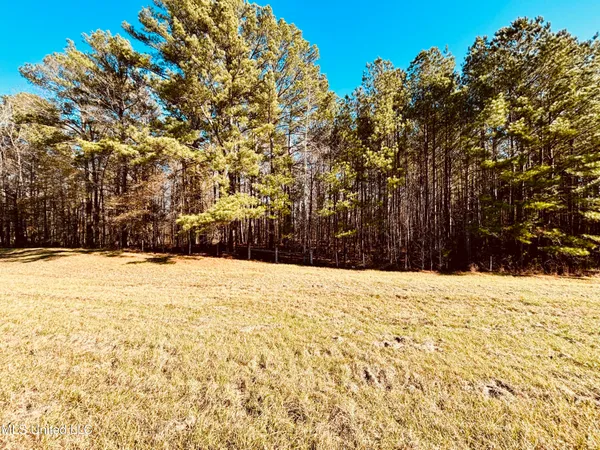 $200,000 | 12 Mississippi, Durant, MS 39063