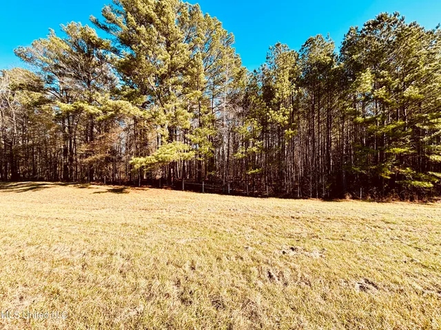 $200,000 | 12 Mississippi, Durant, MS 39063