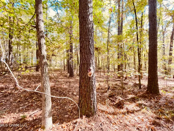 $200,000 | 12 Mississippi, Durant, MS 39063