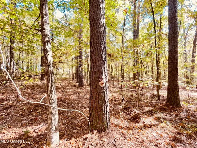 $200,000 | 12 Mississippi, Durant, MS 39063