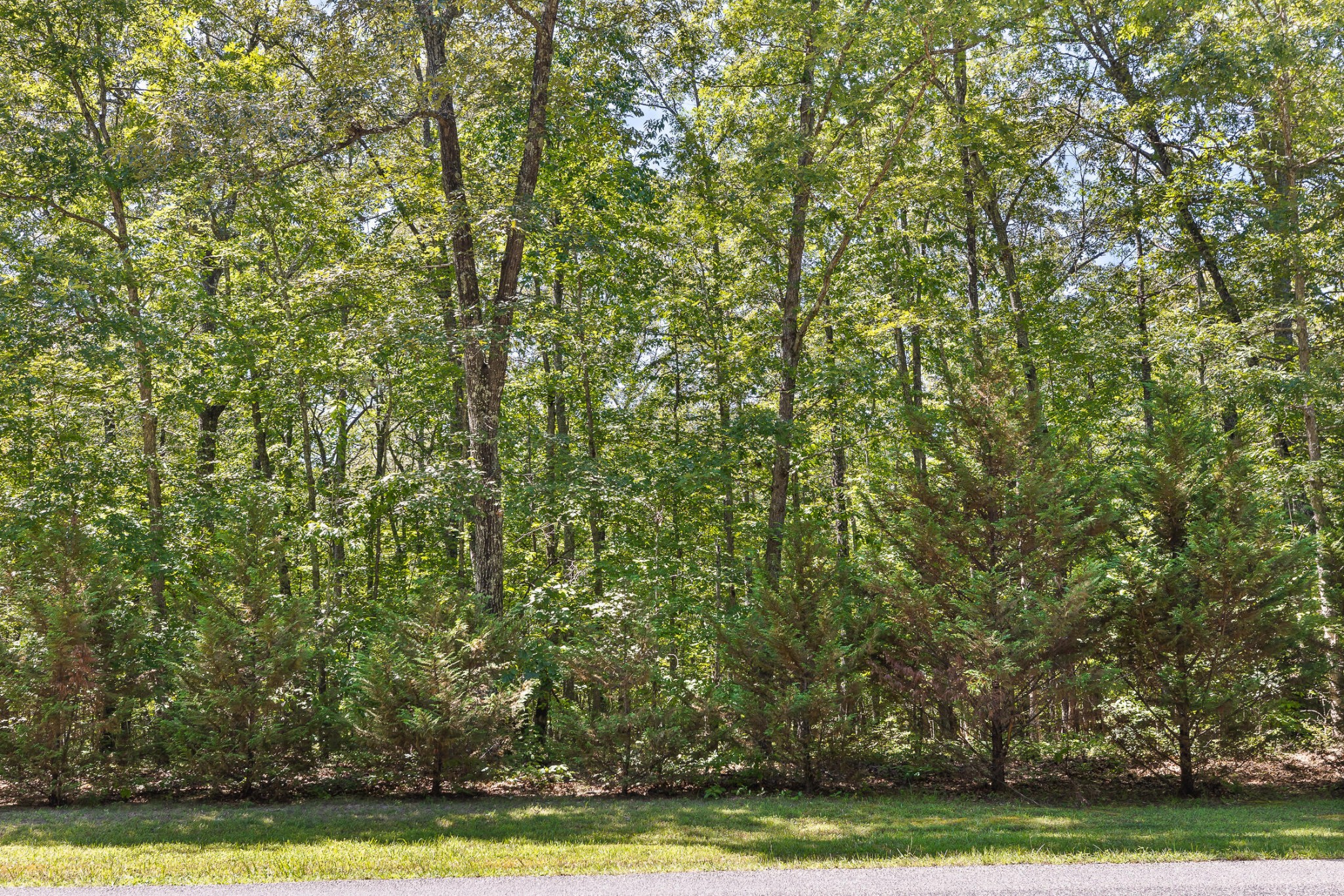 223 Woodland Ridge Road Dunlap, TN 37327 - Photo 6 of 32