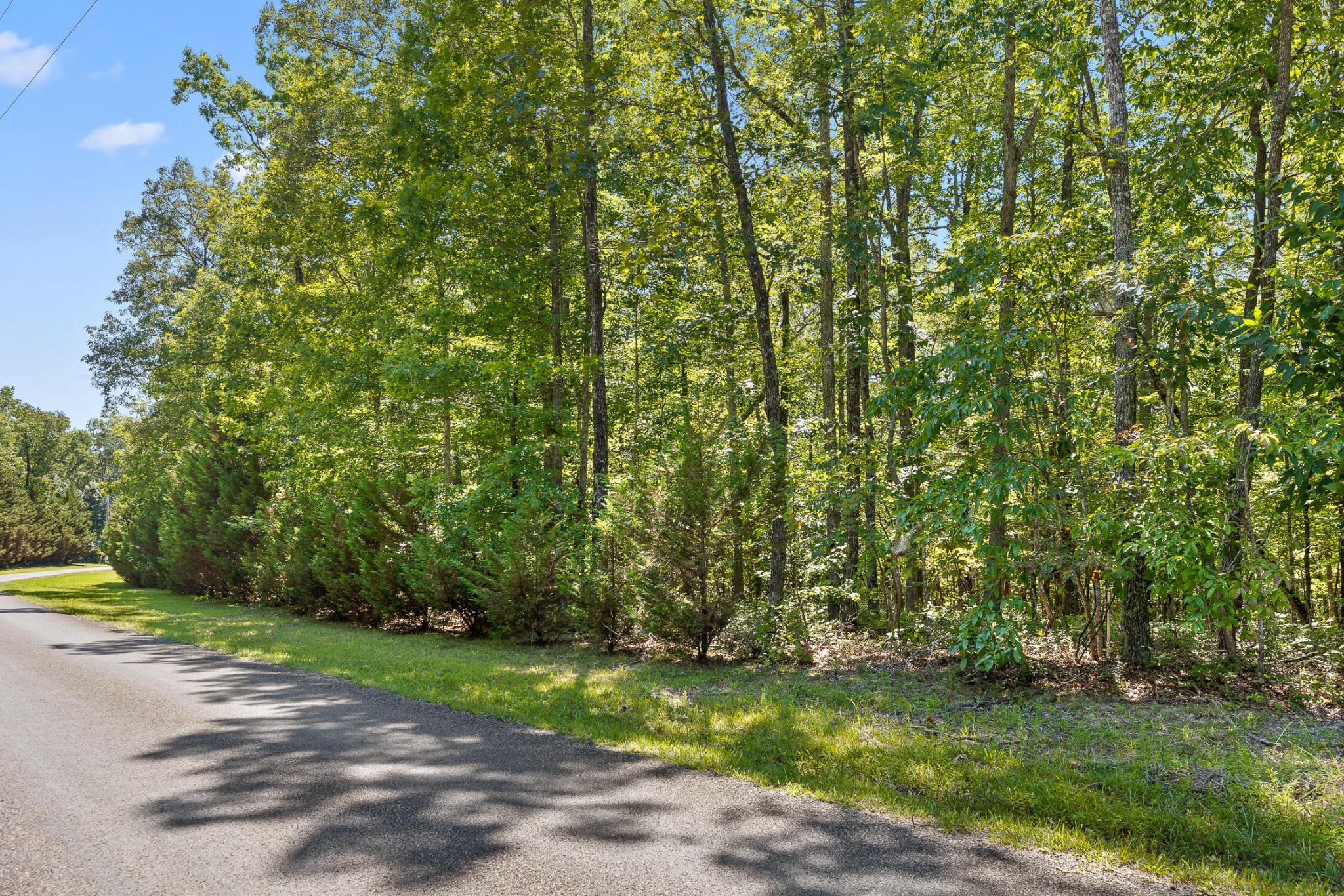 223 Woodland Ridge Road Dunlap, TN 37327 - Photo 7 of 32