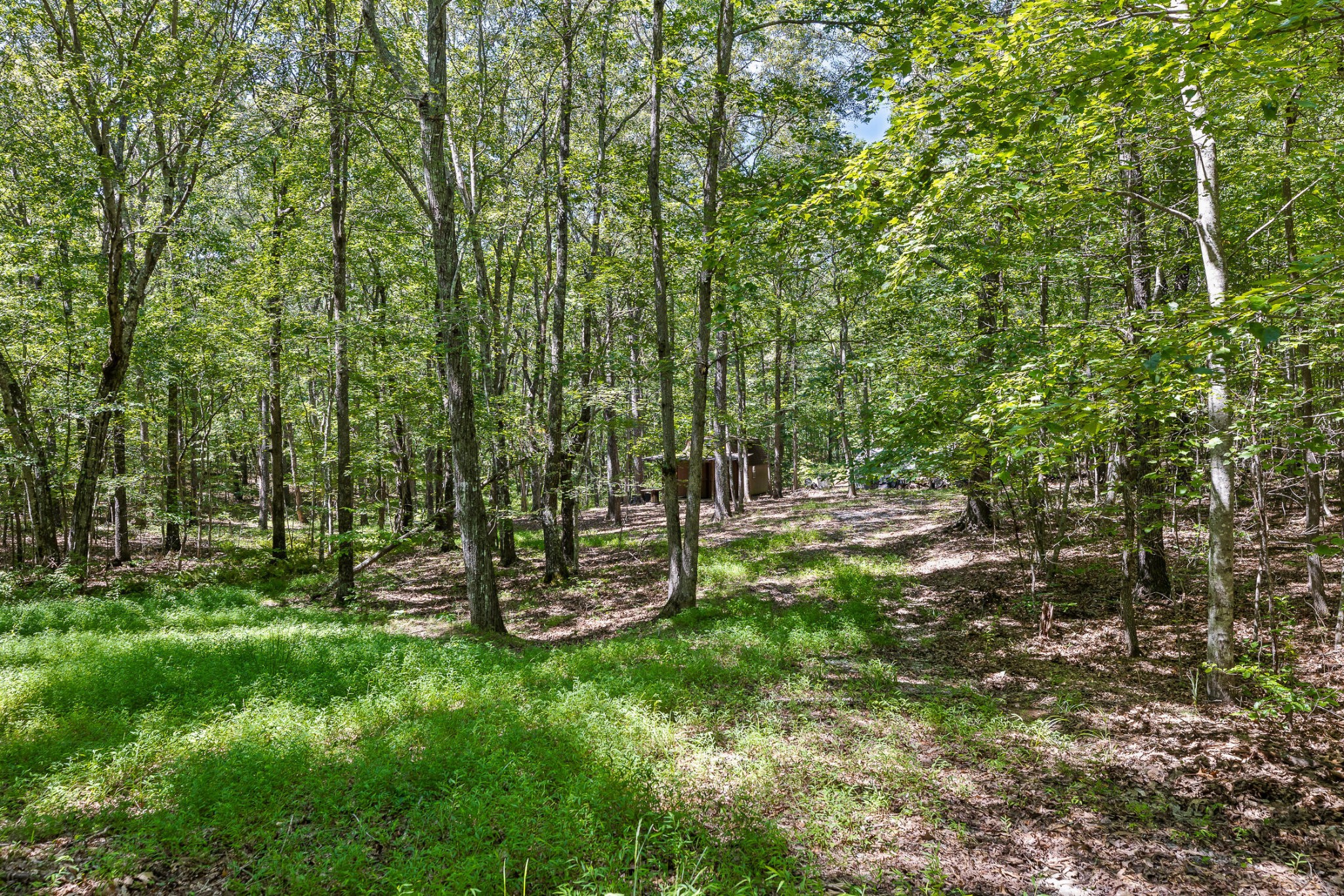 223 Woodland Ridge Road Dunlap, TN 37327 - Photo 8 of 32